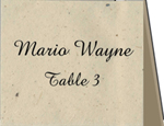 folded place card image