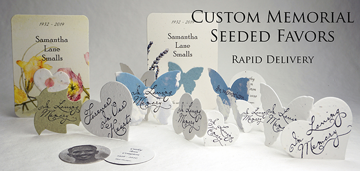 Large Seed Paper Shape Postcards