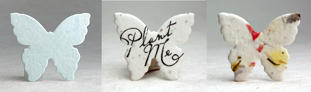 seed paper butterflies