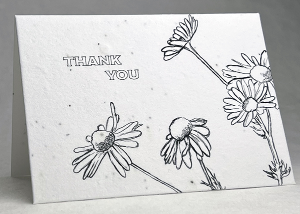 seed paper thank you card white