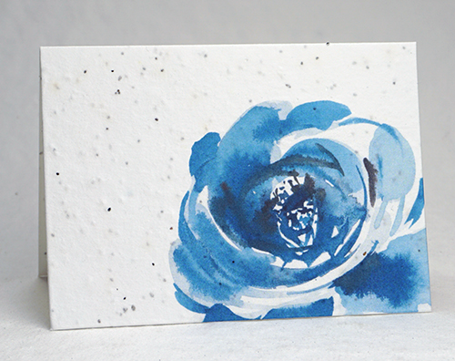 Blue Peony watercolor