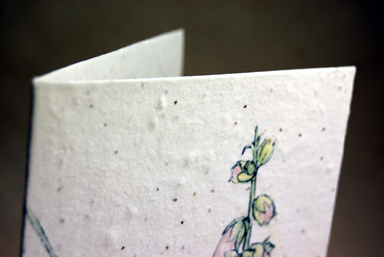 seeded handmade paper blank card