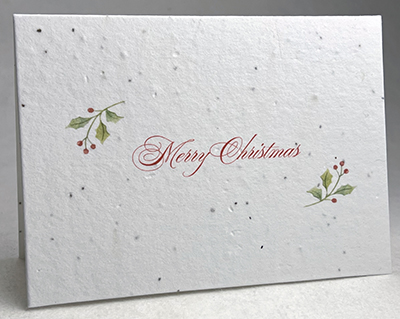 merry christmas holly  card