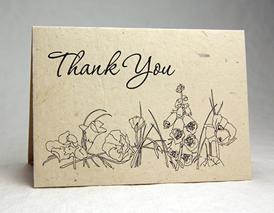 Seeded Lotka Thank You Card