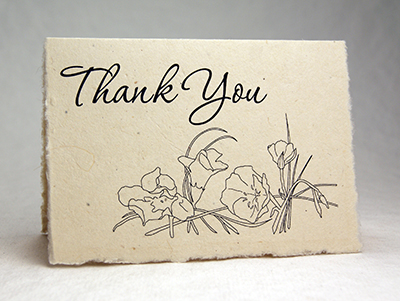 Seeded Lotka Thank You Card Primrose