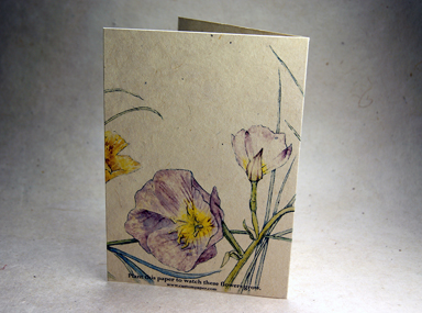 seeded handmade paper blank card