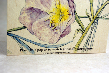 seeded handmade paper blank card