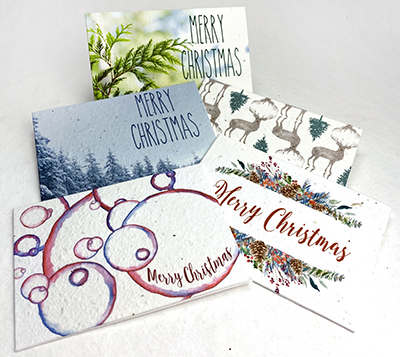 Merry Christmas Seed Paper Card