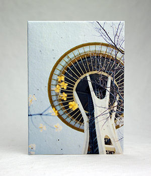 seattle space needle from below