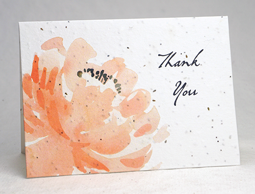 Peach peony Thank You