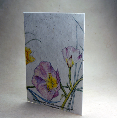 seeded handmade paper blank card