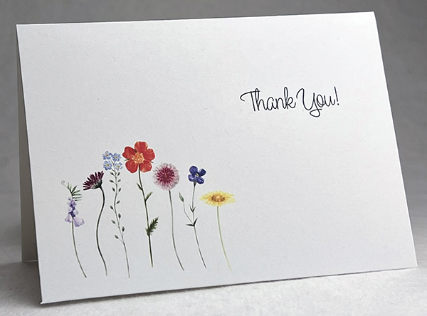 watercolor line thank you card