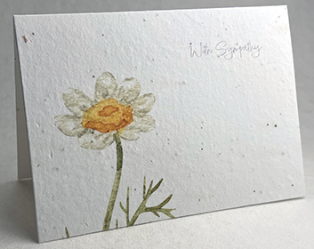 A7 folding sympathy seed paper card with daisy