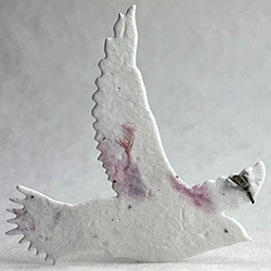 Click for petal paper seed paper birds