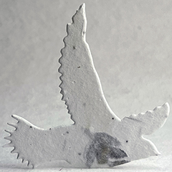 Click for petal paper seed paper birds