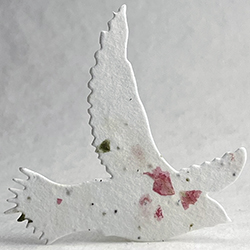 Click for petal paper seed paper birds