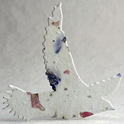 Click for petal paper seed paper birds