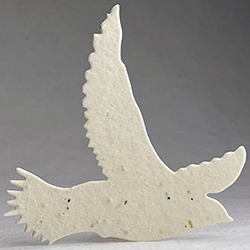 Click for petal paper seed paper birds