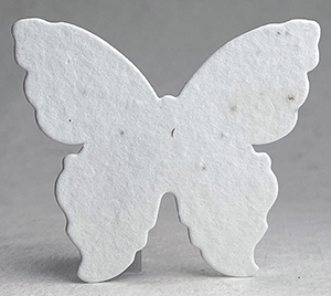#10s butterfly seed paper