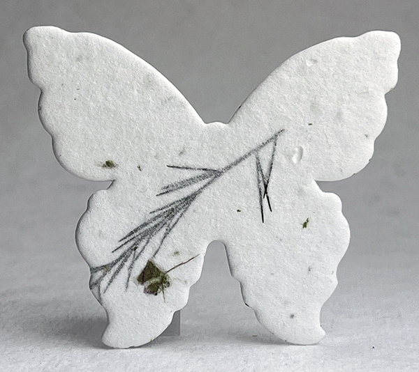 #36s butterfly seed paper