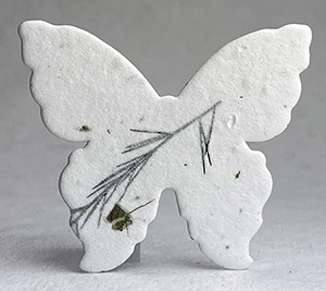 #36s butterfly seed paper