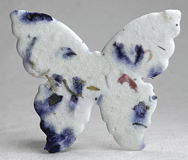 #45s butterfly seed paper