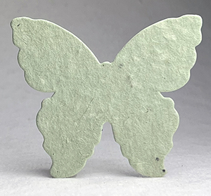 #62s butterfly seed paper