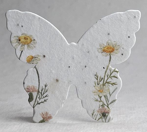 daisy butterfly seed paper