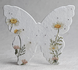 seed paper butterfly