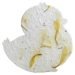 seed paper chick