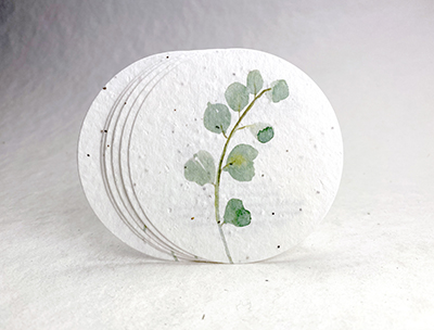 Eucalyptus circle seed paper tags