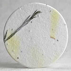 43s_tree_fern_and_safflower_seed_paper_circle
