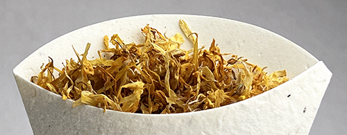 Marigold