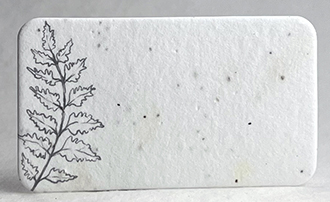 fern escort card rounded