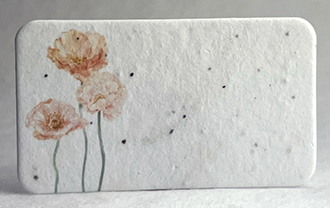 peach poppy escort card rounded