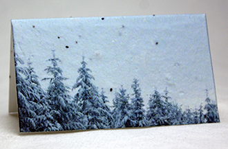 Winter print seed paper place card