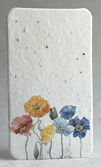 Rainbow Poppy escort card rounded