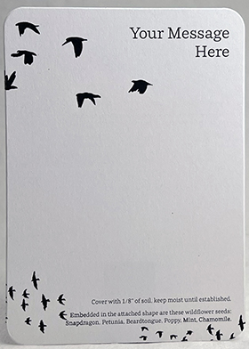Your message here card.