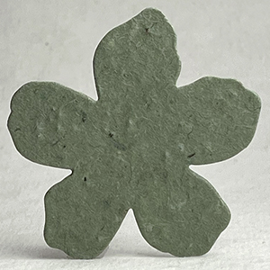 Click for petal paper seed paper flower #14s