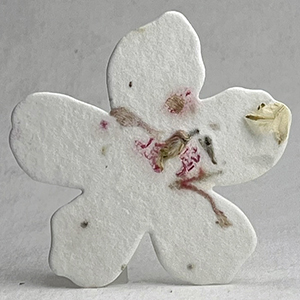 Click for petal paper seed paper flower #24s