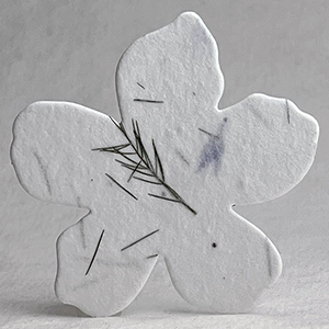 Click for petal paper seed paper flower #30s