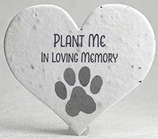 Seed Paper Heart Shape