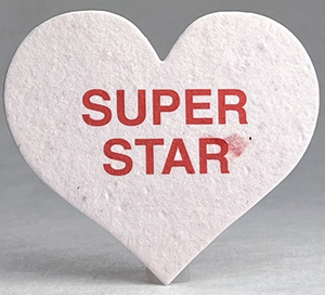 Super Star Heart