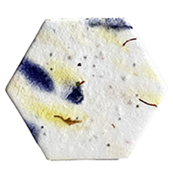 seed paper blank hexagons