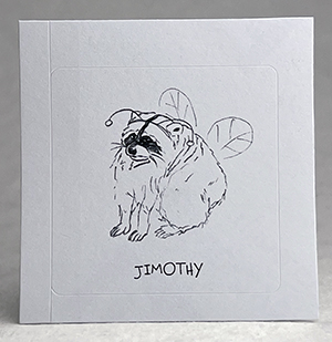 Jimothy B Raccoon 