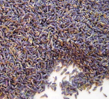 dried lavender