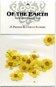 Pressed Buttercups