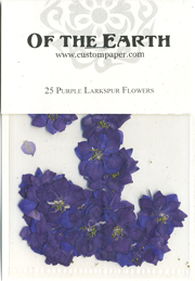 pressed flowers