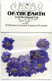 Pressed Flowers
