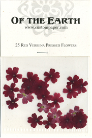 Pressed Flowers